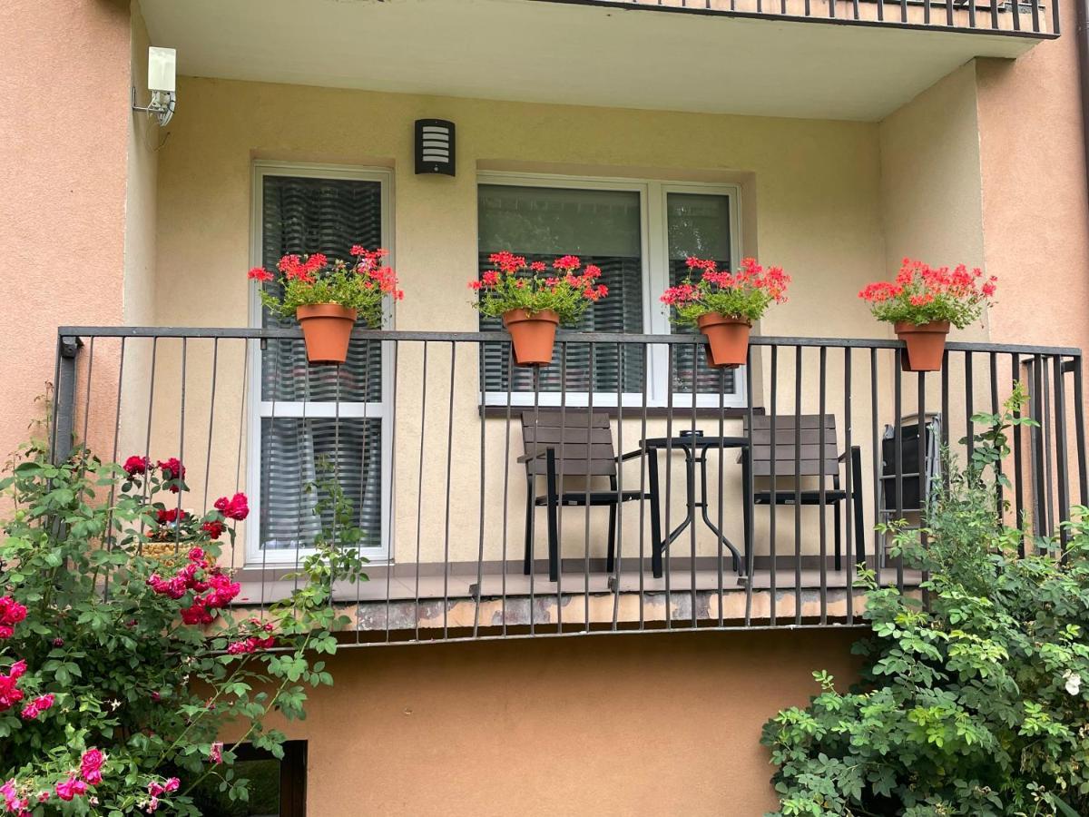 Apartament Weronika Gryfów Śląski エクステリア 写真